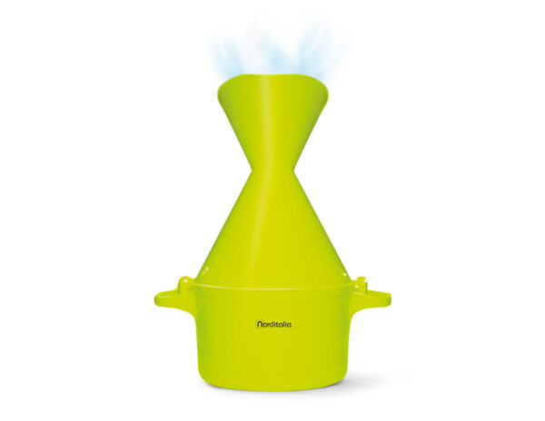 Inhalateur à vapeur